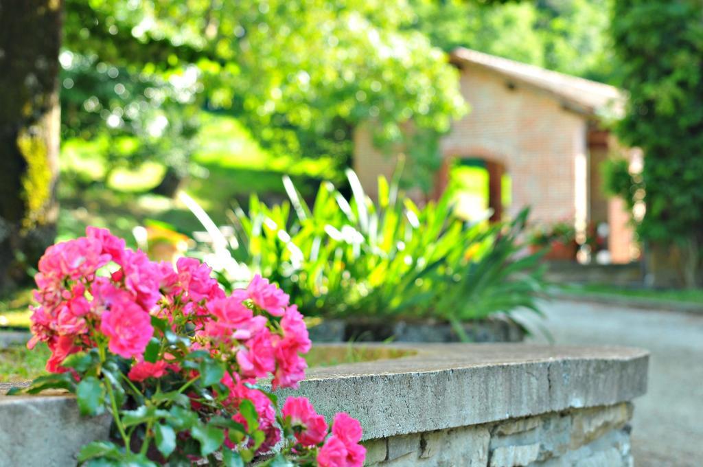 Agriturismo Popolano Di Sotto Марради Экстерьер фото