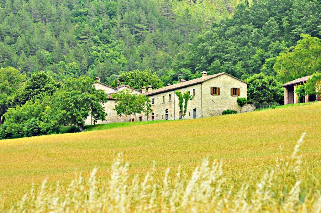 Agriturismo Popolano Di Sotto Марради Экстерьер фото