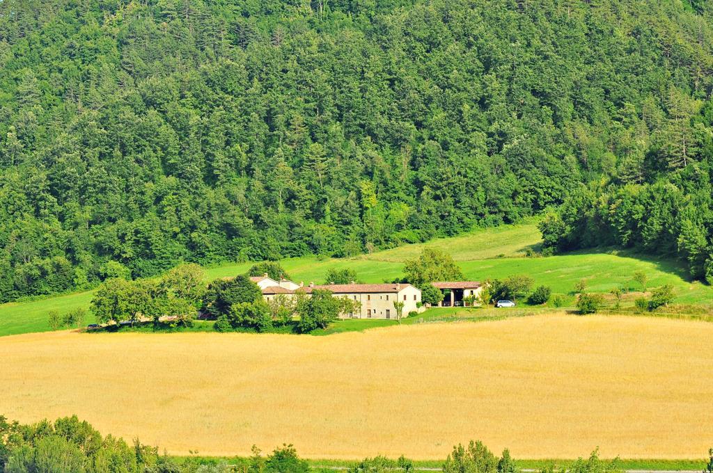 Agriturismo Popolano Di Sotto Марради Экстерьер фото