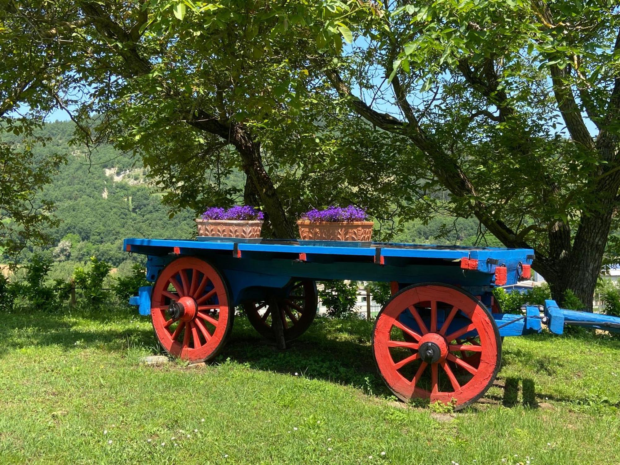 Agriturismo Popolano Di Sotto Марради Экстерьер фото